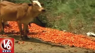 Tomato Farmers In Concern With Price Drop, Throws Tomatoes On Roads In MP | V6 News