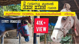 Kerala Horse for Sale" Part: 2"
|| കുതിര വില്പന മലയാളം || Dream Catchers || EP-9