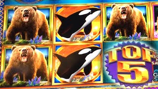 SUPER BIG WIN ~ 5 Bears on Kodiak Island Slot Machine Bonus TOP 5!!