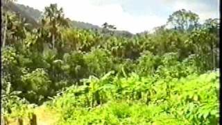 Yanomami 1of4 GCSE Humanities