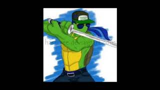 TMNT SWAG