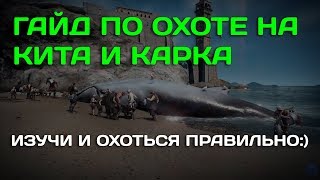 Королевская охота в мире Black Desert (BDO)