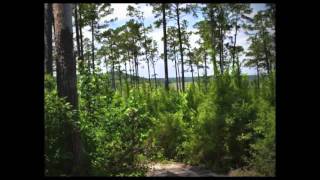 photo of sabine atv park may 14 2011
