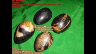 Batu Fosil Kayu Galih Kelor Hitam Full dan Hitam Putih