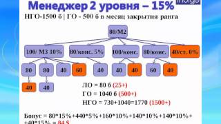 Маркетинг план компании Indigo Holding
