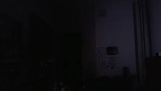 НА ВИДЕО Я  (Татиана Салмановна Мактум Сайфуддин /Tatiana Salmanovna Maktoum Saifuddin