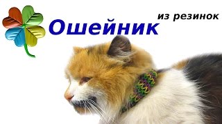 Как плести ошейник | Плетение из резинок ♣Klementina Loom♣| Урок55 Тройной фиштейл