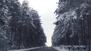 ? Красивая Зимняя Дорога в Заснеженном Лесу и Все в Снегу ~  Дорога Зимой под музыку