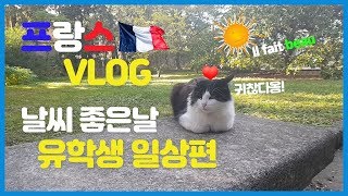 (FR)유럽여행 브이로그 남프랑스 여행하며 프랑스 휴양지 몽펠리에 유럽 일상편☀Europe tour vlog : j'ai passé une bonne journée