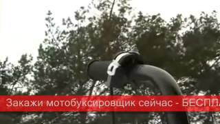 Мотобуксировщики, мотособаки на motobob.ru