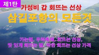 가성비 갑 회뜨는 선상 삼길포항의 모든것 가는법, 우럭축제, 회뜨는 선상, 맛 있게 회뜨는 법, 착한 회뜨는 선상 가격  제1탄
