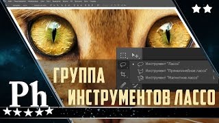 3.3 Фотошоп для начинающих.  Инструменты лассо  Произвольное выделение в Photoshop CC 2015