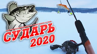 ЛОВЛЯ СУДАКА И БЕРША ЗИМОЙ НА ВИБЫ, БАЛАНСИРЫ и БЛЁСНЫ.  Сударь 2020. Kamfish