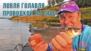 Ловля голавля проводкой на снос