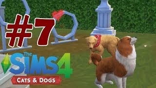 Mia ve Max | The Sims 4 Cats & Dogs #7