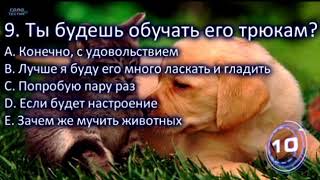 Психологический тест : кто тебе подходит из зверей