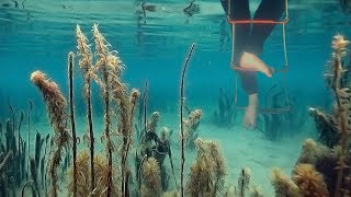Лестница для лодки пвх Трап для лодки надувной.
