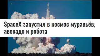 Космический корабль Спейс-Х долетел до МКС! И привёз...