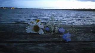 Hans Martin - Det gör ont