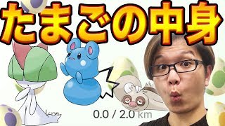 なんのたまご狙えば良いの？第三世代の最新情報まとめ!【ポケモンGO】