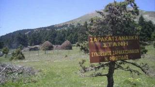 ΟΙ ΚΑΛΥΒΕΣ ΤΩΝ ΣΑΡΑΚΑΤΣΑΝΩΝ