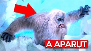 YETI ESTE AICI !