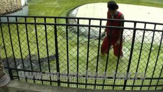 Зоопарк на Пхукете!!! Phuket Zoo!!! Экскурсии с phuket-cheap-tour.ru