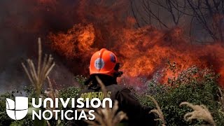 Imágenes impactantes del peor incendio forestal en la historia de Chile