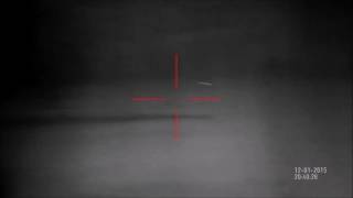 Видео от пользователей во время ночной охоты с цифровым прицелом ATN X-Sight