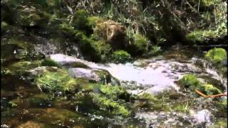 Nacimiento del Río Cuervo (Cuenca, España)