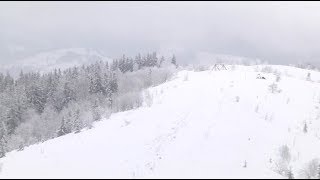 Непогода в Украине: более 100 поселков без света