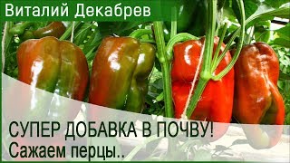 СУПЕР ДОБАВКА В ПОЧВУ! Сажаем перцы..