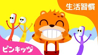 子供の生活習慣、安全のうた＋詰め合わせ | はみがき、バイキンくん、とないのきいろいバズ 他 | ベイビーシャーク | ピンキッツ！