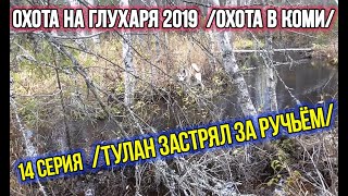 Охота на глухаря 2019 ✔️ Охота в Коми. 14 серия.