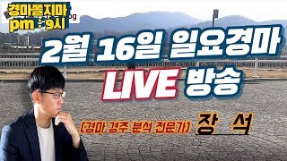 [2월 16일 일요경마LIVE] 경마분석 전문가 장석과 함께 풀어가는 토요경마