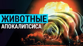▽ Живые существа апокалипсиса