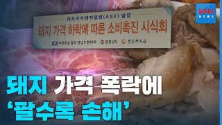 돼지고기 가격 계속해서폭락, 파는 게 손해