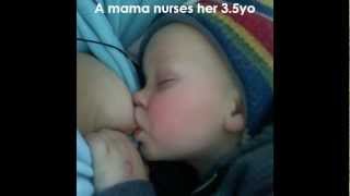 Breastfeeding Past Infancy