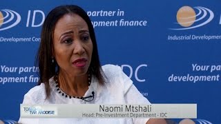 IDC's Head of Pre-investment, Naomi Mtshali — The Industrial Development Corporation of SA