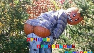 УБОЙНЫЕ РЖАЧНЫЕ ПРИКОЛЫ РУНЕТА САМОЕ НОВОЕ УЛЁТНОЕ ВИДЕО