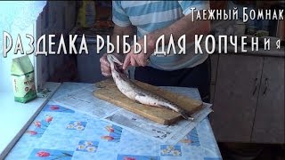 Разделка щуки на копчение. Таежный Бомнак. HD