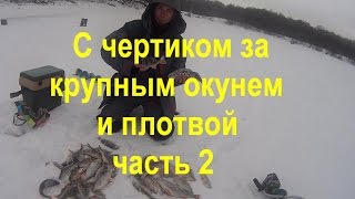 Зимняя рыбалка.Ловля на безмотылки.Ловля крупной рыбы на чертик.Часть 2-я