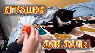VLOG Первые покупки для кошки. Куда Назар ходит на английский
