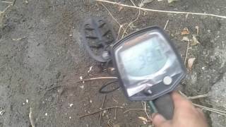 Mencari harta karun di sungai 1