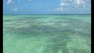 Bayahibe & Isola di Saona -Santo Domingo - Rep.Dominicana 2009
