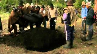 Jarjacha vs Pishtaco - Trailer Oficial 2012
