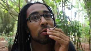 Marijuana & Dreadlocks Stereotype Problems
