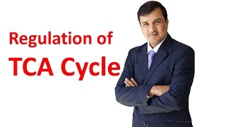 TCA Cycle Regulation