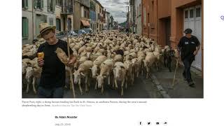 Western Wall! Messiah! Bears vs Sheep! Nimrod on White House Lawn!