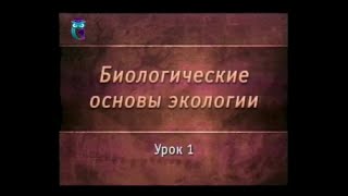 Урок 1. Введение в экологию. Мир взаимоотношений между организмами